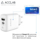 Зарядное устройство для ACCLAB AL-TC220 (1xUSB, 1xType-C) (1283126556494)