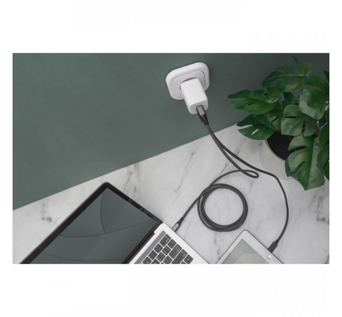 Зарядний пристрій Digitus 2xUSB-C PD65W GaN (DA-10063)