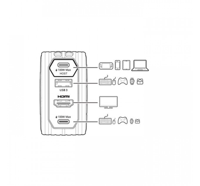 Зарядное устройство AVerMedia GC313 CORE GO 100W 2хUSB-С 1хUSB-A 1xHDMI black (40AAGC313AWN)
