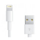 Дата кабель USB 2.0 AM to Lightning 1.0m PowerPlant (DV00DV4042)