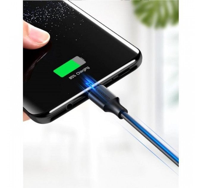 Дата кабель USB 2.0 AM to USB-C 3.0m 3.0A 18W US287 Black Ugreen (60826)