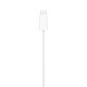 Зарядное устройство Apple Watch Magnetic Fast Charger USB-C Cable (1 m) (MT0H3ZM\/A)