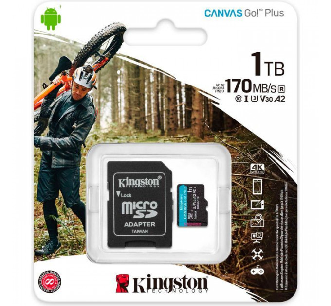 Карта пам/'яті Kingston 1TB microSDXC сlass 10 UHS-I U3 V30 A2 Canvas Go Plus G4 (SDCG4\/1TB)