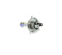 Автолампа Zollex H4 12V 60/55W All weather (2861024)