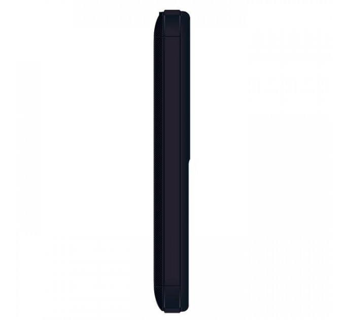 Мобильный телефон Ergo R231 Black