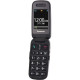 Мобильный телефон Panasonic KX-TU446 Red (KX-TU446EXR)
