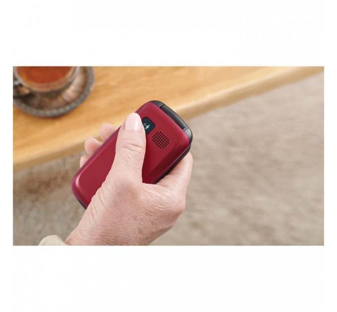 Мобильный телефон Panasonic KX-TU446 Red (KX-TU446EXR)