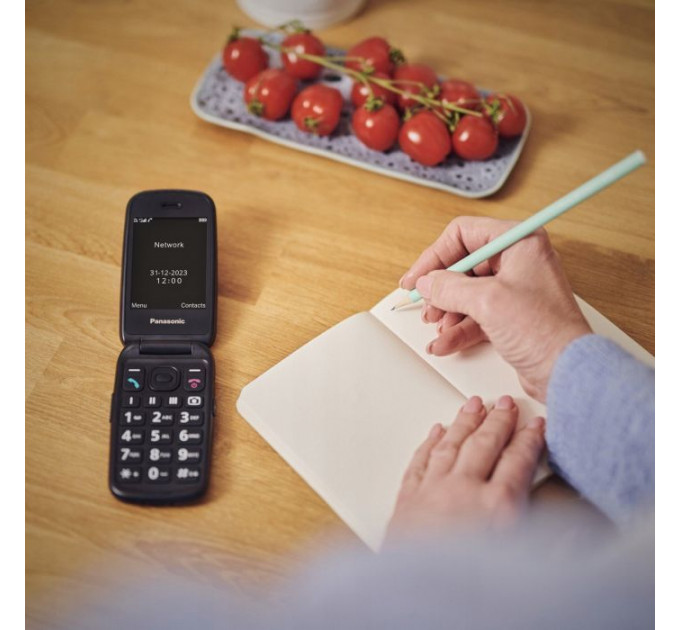 Мобильный телефон Panasonic KX-TU550 Red (KX-TU550EXR)