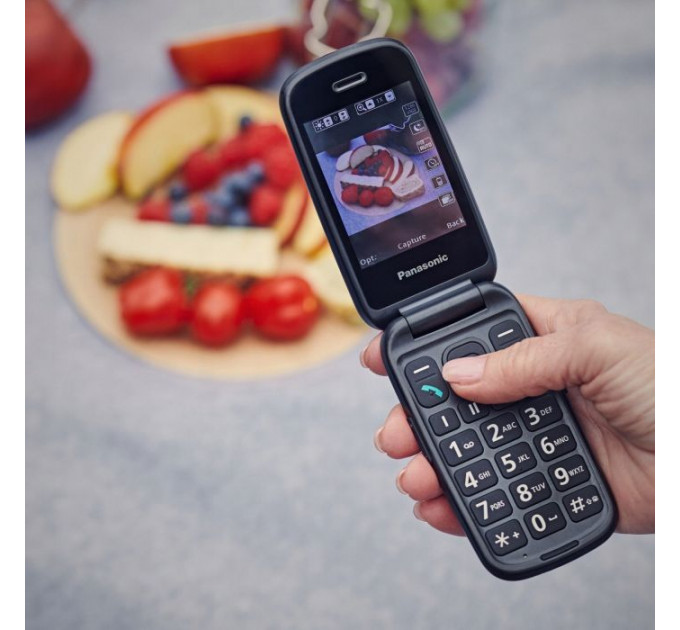 Мобильный телефон Panasonic KX-TU550 Grey (KX-TU550EXC)