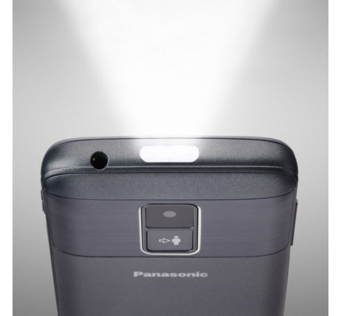 Мобільний телефон Panasonic KX-TU160 Grey (KX-TU160EXG)