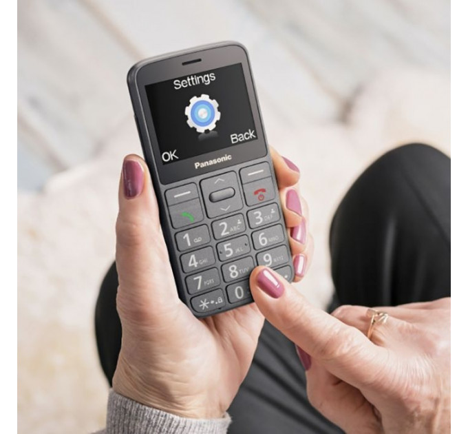 Мобільний телефон Panasonic KX-TU160 Grey (KX-TU160EXG)