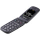 Мобильный телефон Panasonic KX-TU446 Black (KX-TU446EXB)
