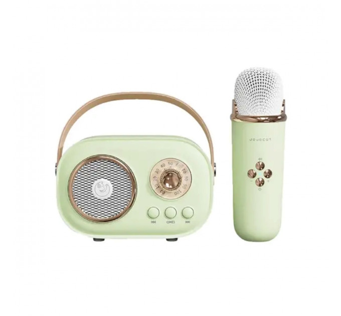 Колонка портативна з мікрофоном C-20 BT/TF/USB/FM 5 Вт C20GR