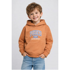 Світшот дитячий для хлопчика на флісі коричневого кольору KIDS 309 140 (32 р) Коричневий (205990) Світшот дитячий для хлопчика на флісі коричневого кольору KIDS 309 140 (32 р) Коричневий (205990)